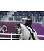 Dy'on Bride Patent Large Crank Noseband avec Flash