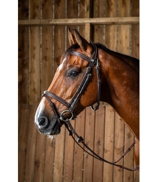 Dy'on Flash Noseband Bridle with Snap Hooks