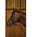 Dy'on Flash Noseband Bridle with Snap Hooks