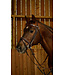 Dy'on Flash Noseband Bridle with Snap Hooks