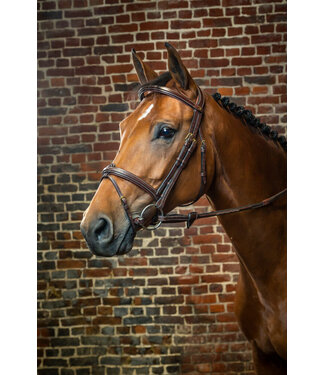 Dy'on D Collection Flash Noseband Bridle