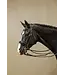 Dy'on Patent Large Crank Noseband Double Bridle