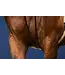 Dy'on US Jumping Full Leather Draw Reins 1/2