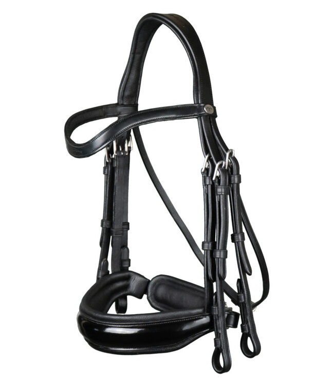 Dy'on Patent Large Crank Noseband Double Bridle