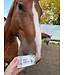 Boo & Moo 2Pack Regular Horse Cookies with Icing