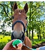 Boo & Moo 8Pack Regular Horse Cookies with Icing