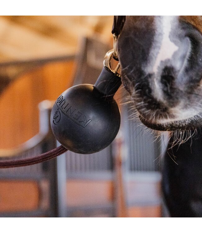 Kentucky Horsewear Stables Wall & Lead Rubber Ball Protection