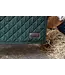 Kentucky Horsewear Stable Guard