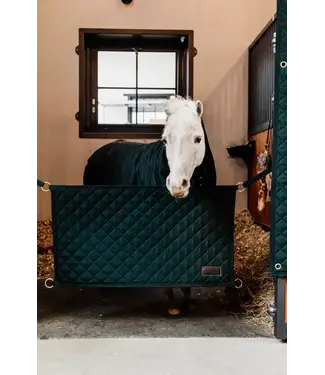 Kentucky Horsewear Stable Guard