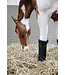 Kentucky Horsewear Repellent Stable Bandages