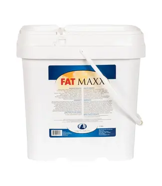 Strictly equine Fat Maxx