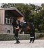 Kentucky Horsewear Tapis de Selle Classic Dressage Noir