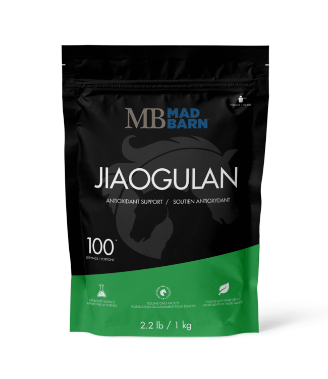 MadBarn Jiaogulan