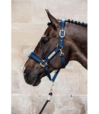 Kentucky Horsewear Licou Velvet Navy