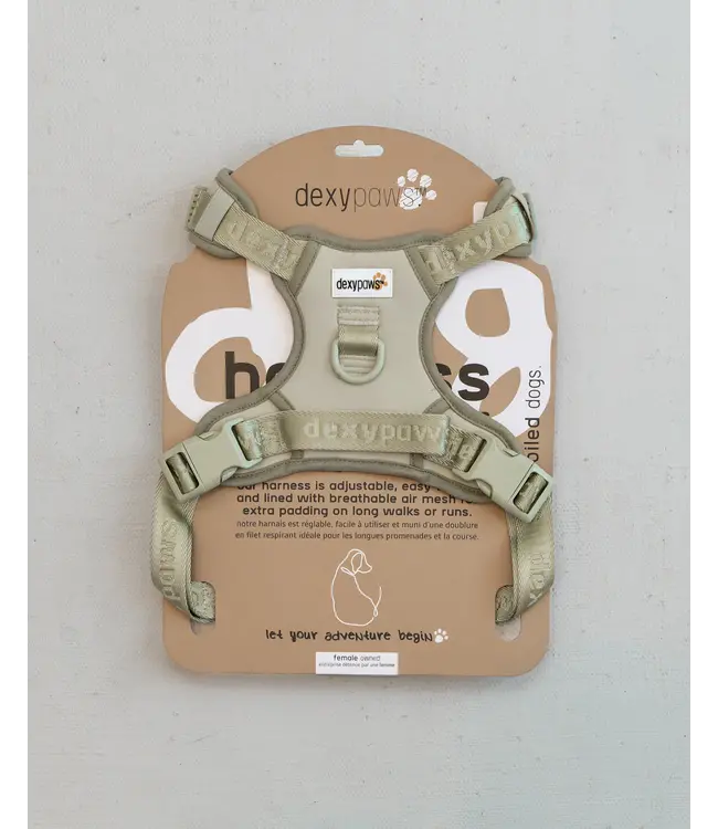 Dexypaws Harnais de Marche No-Pull Vert Sauge pour Chien