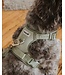 Dexypaws Harnais de Marche No-Pull Vert Sauge pour Chien