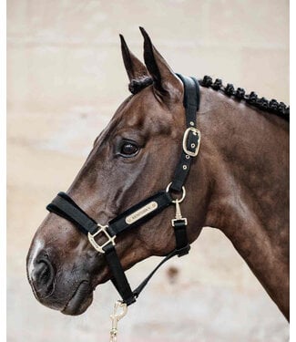 Kentucky Horsewear Velvet Black Halter