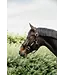 Kentucky Horsewear Black Control Halter
