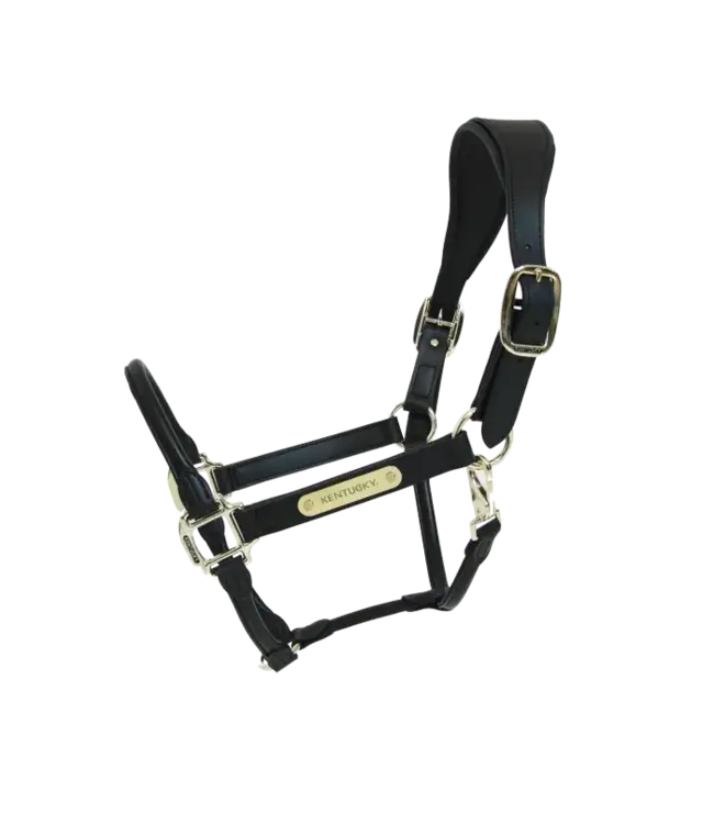 Kentucky Horsewear Anatomic Black Leather Halter