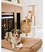 Bud'z Anemone Flat Dog Bed