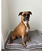 Bud'z Deluxe flat bed for dogs