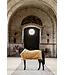 Kentucky Horsewear Couverture de Concours Show Rug Velvet Moutarde