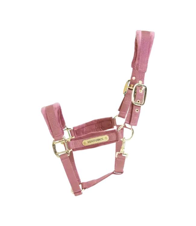 Kentucky Horsewear Licou Velvet Old Rose