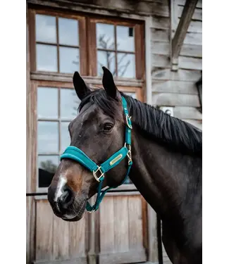 Kentucky Horsewear Licou Velvet Émeraude