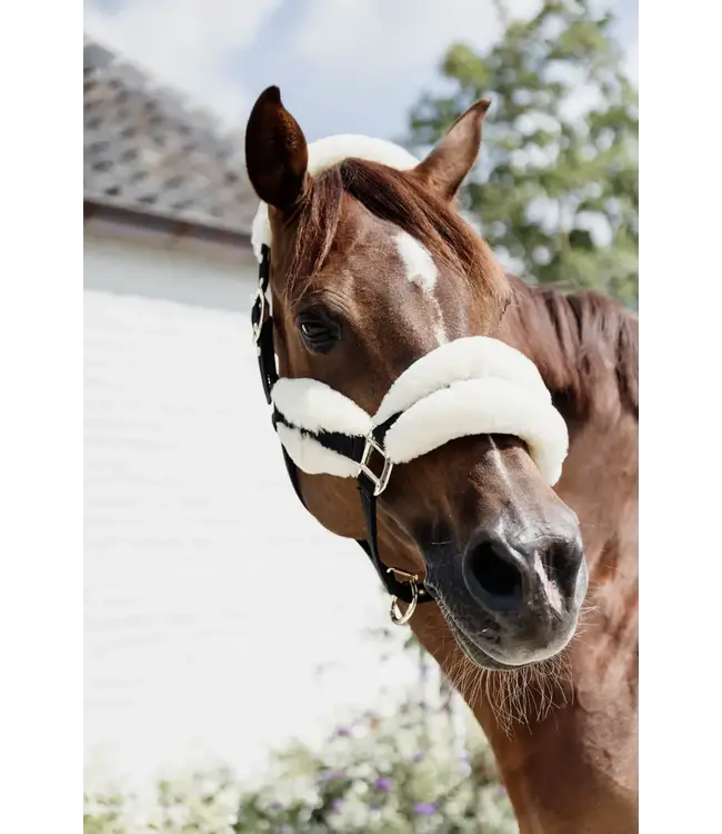 Kentucky Horsewear Natural Nylon Sheepskin Soft Halter