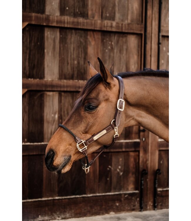 Kentucky Horsewear Brown Leather Rope Halter