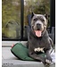 Bud'z Anemone Flat Dog Bed