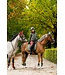 BR Equestrian Softshell Beetle Fien Jacket