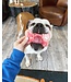 Bosco & Roxy's Biscuit Artisanal Happy Birthday