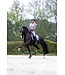 BR Equestrian Over Reach Quiet Shade Boots Fur Fae