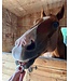 Boo & Moo Muffin pour Chevaux avec Glaçage 2Pack