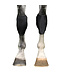 Back On Track Equine knee boots