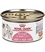 Royal Canin Nutrition Santé Féline MÈRE ET BÉBÉ CHAT MOUSSE ULTRA TENDRE