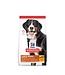 Hill's Science Diet Chien adulte Grande race Poulet & orge