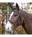Shires Equestrian Bride Ocala Avignon