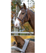 Shires Equestrian Bride Ocala Avignon