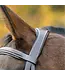Shires Equestrian Bride Ocala Avignon