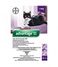 Elanco Advantage II Topical Flea Treatment for Cats