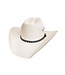 Bullhide Englewood 10X western hat