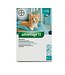 Elanco Traitement Topique Advantage II pour Chaton