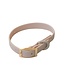 Dexypaws Collier Imperméable en Biothane Beige
