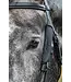Dy'on Blinkers