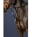 Dy'on US Jumping Running Martingale