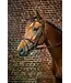 Dy'on Bride en Cuir Flash Noseband D Collection