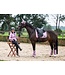 ANKY Tapis de Selle Lavender Herb Dressage Suede XB24
