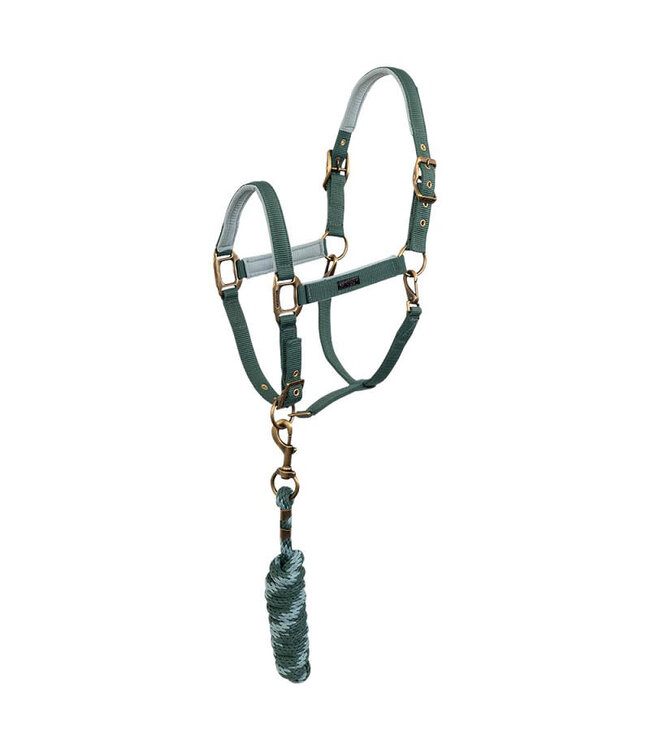 ANKY Suede Lining Silver Pine Halter & Lead Rope ATH24